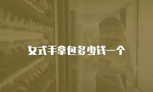 女式手拿包多少钱一个
