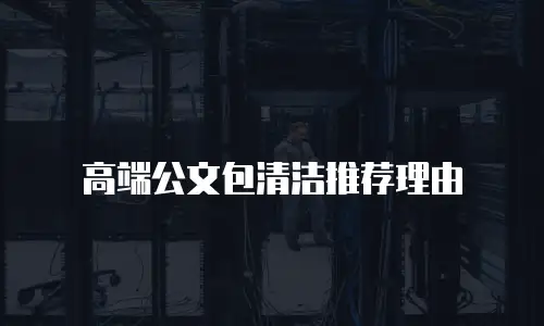 高端公文包清洁推荐理由
