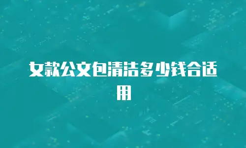 女款公文包清洁多少钱合适用