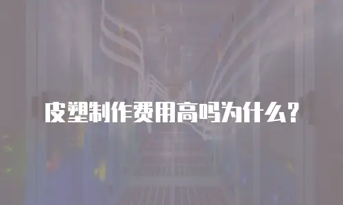 皮塑制作费用高吗为什么？