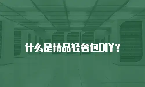 什么是精品轻奢包DIY？