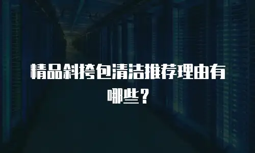 精品斜挎包清洁推荐理由有哪些？