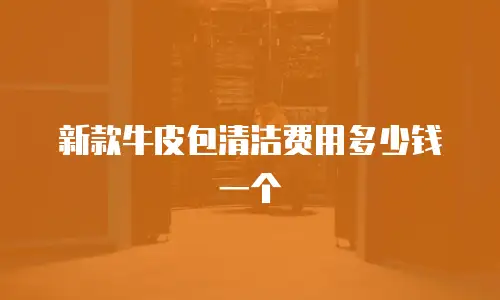 新款牛皮包清洁费用多少钱一个