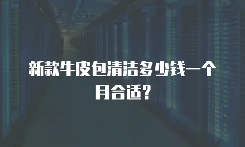 新款牛皮包清洁多少钱一个月合适？