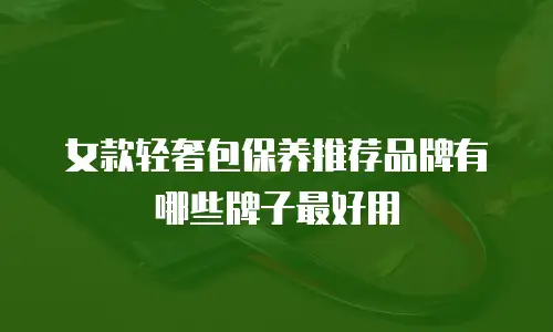 女款轻奢包保养推荐品牌有哪些牌子最好用