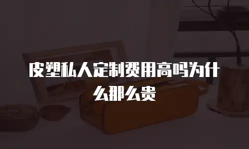 皮塑私人定制费用高吗为什么那么贵