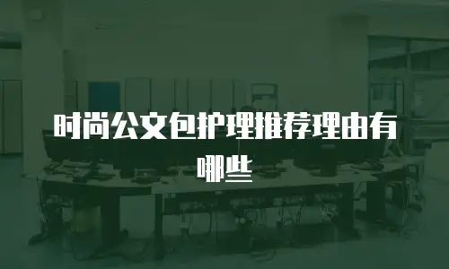 时尚公文包护理推荐理由有哪些