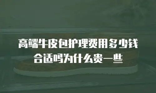 高端牛皮包护理费用多少钱合适吗为什么贵一些