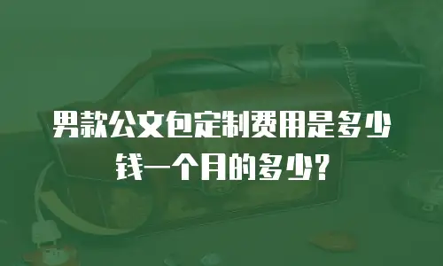 男款公文包定制费用是多少钱一个月的多少？