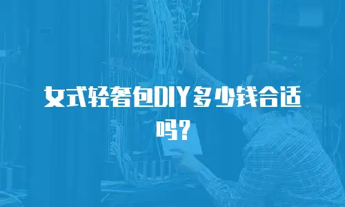 女式轻奢包DIY多少钱合适吗？