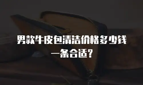 男款牛皮包清洁价格多少钱一条合适？