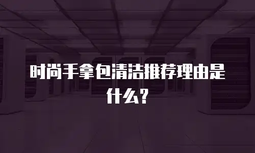 时尚手拿包清洁推荐理由是什么？
