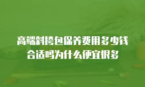 高端斜挎包保养费用多少钱合适吗为什么便宜很多