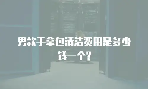 男款手拿包清洁费用是多少钱一个?