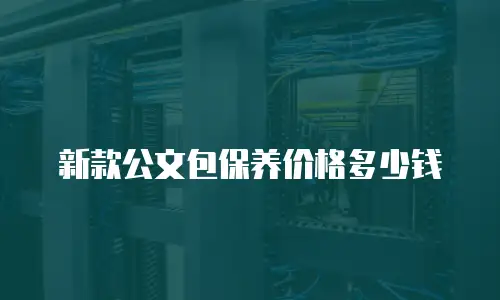 新款公文包保养价格多少钱