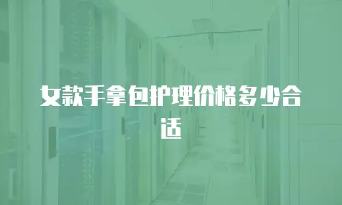 女款手拿包护理价格多少合适