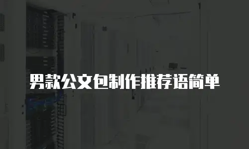 男款公文包制作推荐语简单