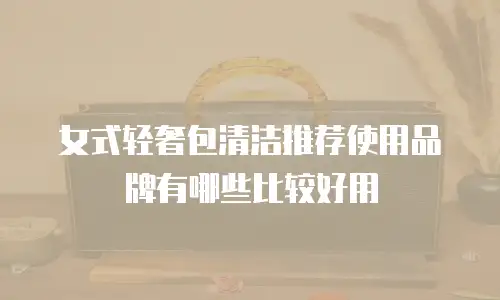 女式轻奢包清洁推荐使用品牌有哪些比较好用
