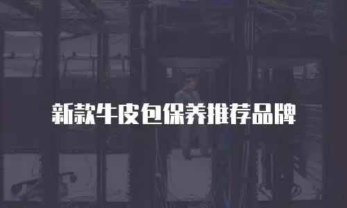 新款牛皮包保养推荐品牌