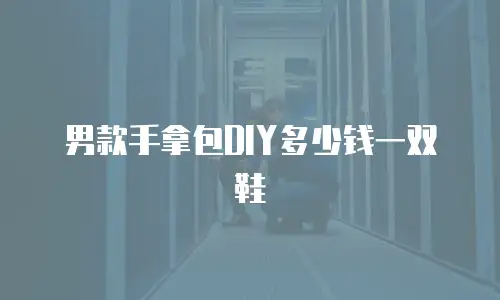 男款手拿包DIY多少钱一双鞋