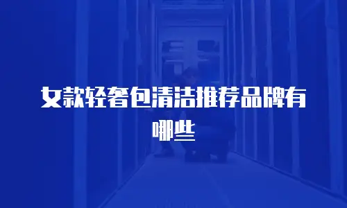 女款轻奢包清洁推荐品牌有哪些