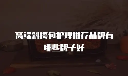 高端斜挎包护理推荐品牌有哪些牌子好