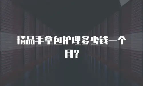 精品手拿包护理多少钱一个月？