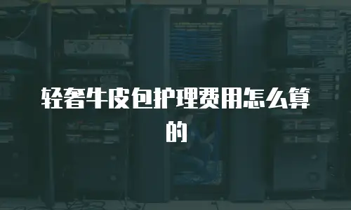 轻奢牛皮包护理费用怎么算的