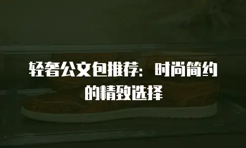 轻奢公文包推荐：时尚简约的精致选择