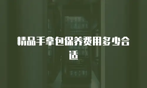 精品手拿包保养费用多少合适