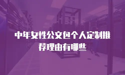 中年女性公文包个人定制推荐理由有哪些