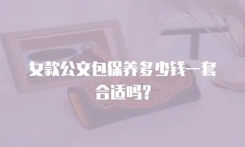 女款公文包保养多少钱一套合适吗？