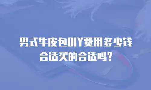 男式牛皮包DIY费用多少钱合适买的合适吗？