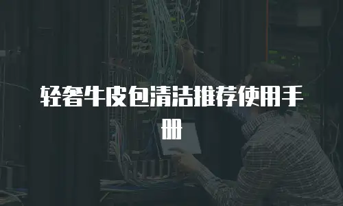 轻奢牛皮包清洁推荐使用手册