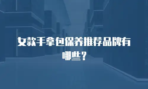 女款手拿包保养推荐品牌有哪些？
