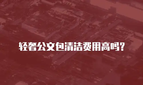 轻奢公文包清洁费用高吗？