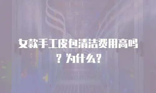 女款手工皮包清洁费用高吗？为什么？