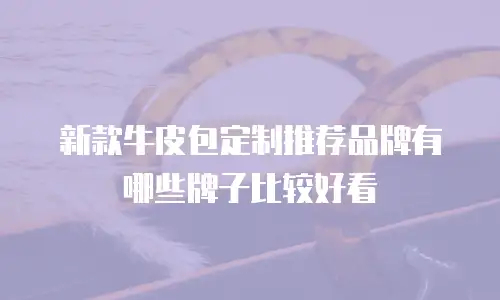 新款牛皮包定制推荐品牌有哪些牌子比较好看