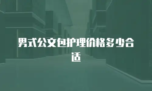 男式公文包护理价格多少合适