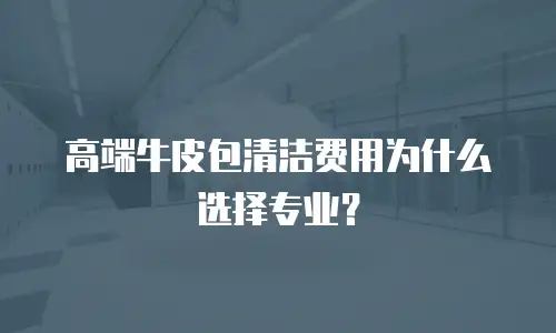 高端牛皮包清洁费用为什么选择专业？