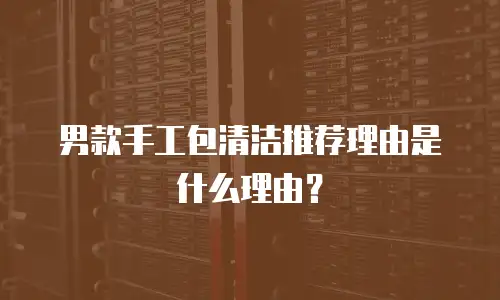男款手工包清洁推荐理由是什么理由？