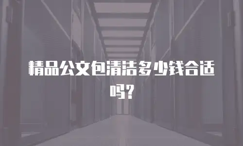 精品公文包清洁多少钱合适吗？