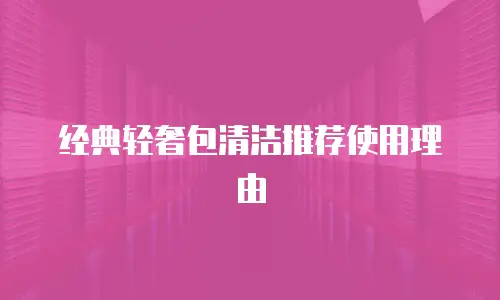 经典轻奢包清洁推荐使用理由